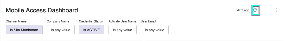 Mobile Access Dashboard filters.png